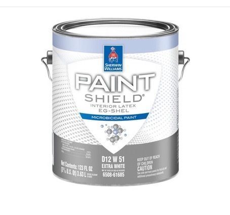 Paint Shield